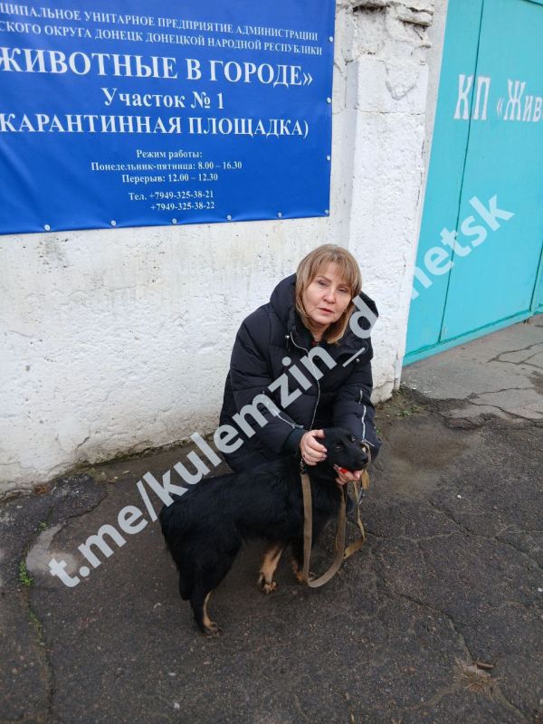 Алексей Кулемзин: Команда предприятия «Животные в городе» ежедневно трудится, чтобы подарить четвероногим друзьям шанс на новую жизнь: обеспечивает их питанием и необходимым лечением, а также активно занимается поиском... Алексей Кулемзин: Команда предприятия «Животные в городе» ежедневно трудится, чтобы подарить четвероногим друзьям шанс на новую жизнь: обеспечивает их питанием и необходимым лечением, а также активно занимается поиском...