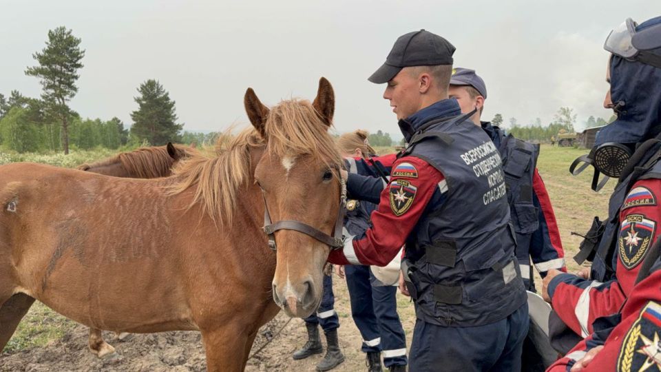 Поздравление с Днём добровольца члена ОП РФ, руководителя ВСКС Евгения Козеева Поздравление с Днём добровольца члена ОП РФ, руководителя ВСКС Евгения Козеева