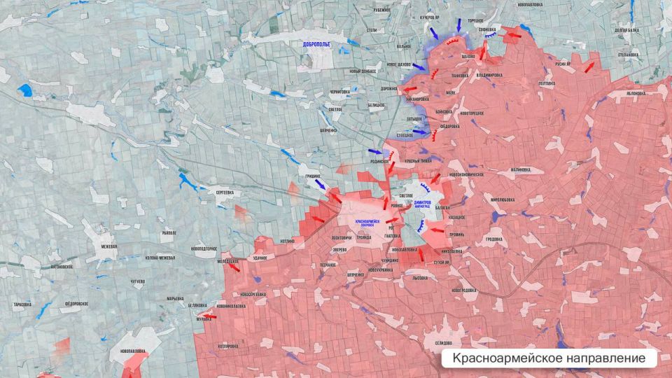 ���� ����: ��������� ������ 5 �������