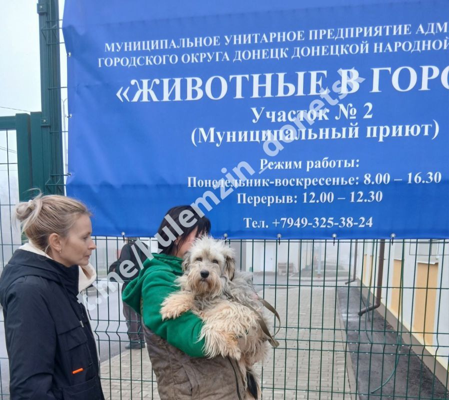 Алексей Кулемзин: Команда предприятия «Животные в городе» ежедневно трудится, чтобы подарить четвероногим друзьям шанс на новую жизнь: обеспечивает их питанием и необходимым лечением, а также активно занимается поиском... Алексей Кулемзин: Команда предприятия «Животные в городе» ежедневно трудится, чтобы подарить четвероногим друзьям шанс на новую жизнь: обеспечивает их питанием и необходимым лечением, а также активно занимается поиском...