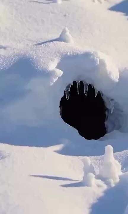 Спокойной ночи, Мариуполь!