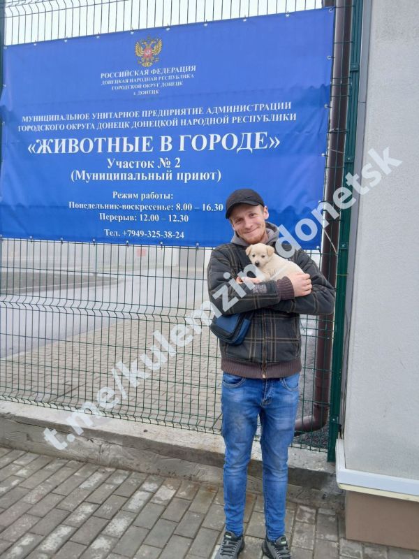 Алексей Кулемзин: Команда предприятия «Животные в городе» ежедневно трудится, чтобы подарить четвероногим друзьям шанс на новую жизнь: обеспечивает их питанием и необходимым лечением, а также активно занимается поиском... Алексей Кулемзин: Команда предприятия «Животные в городе» ежедневно трудится, чтобы подарить четвероногим друзьям шанс на новую жизнь: обеспечивает их питанием и необходимым лечением, а также активно занимается поиском...