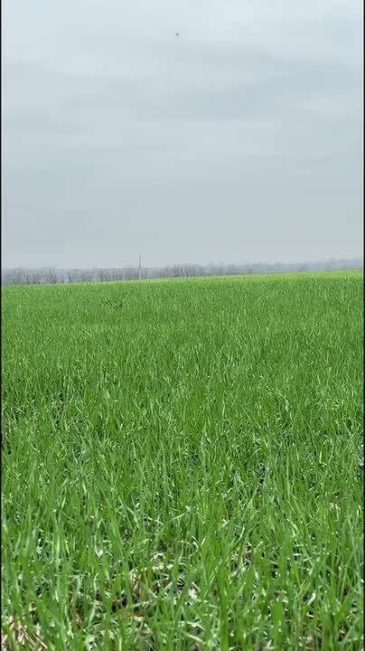 проводит плановый осмотр сельхозугодий