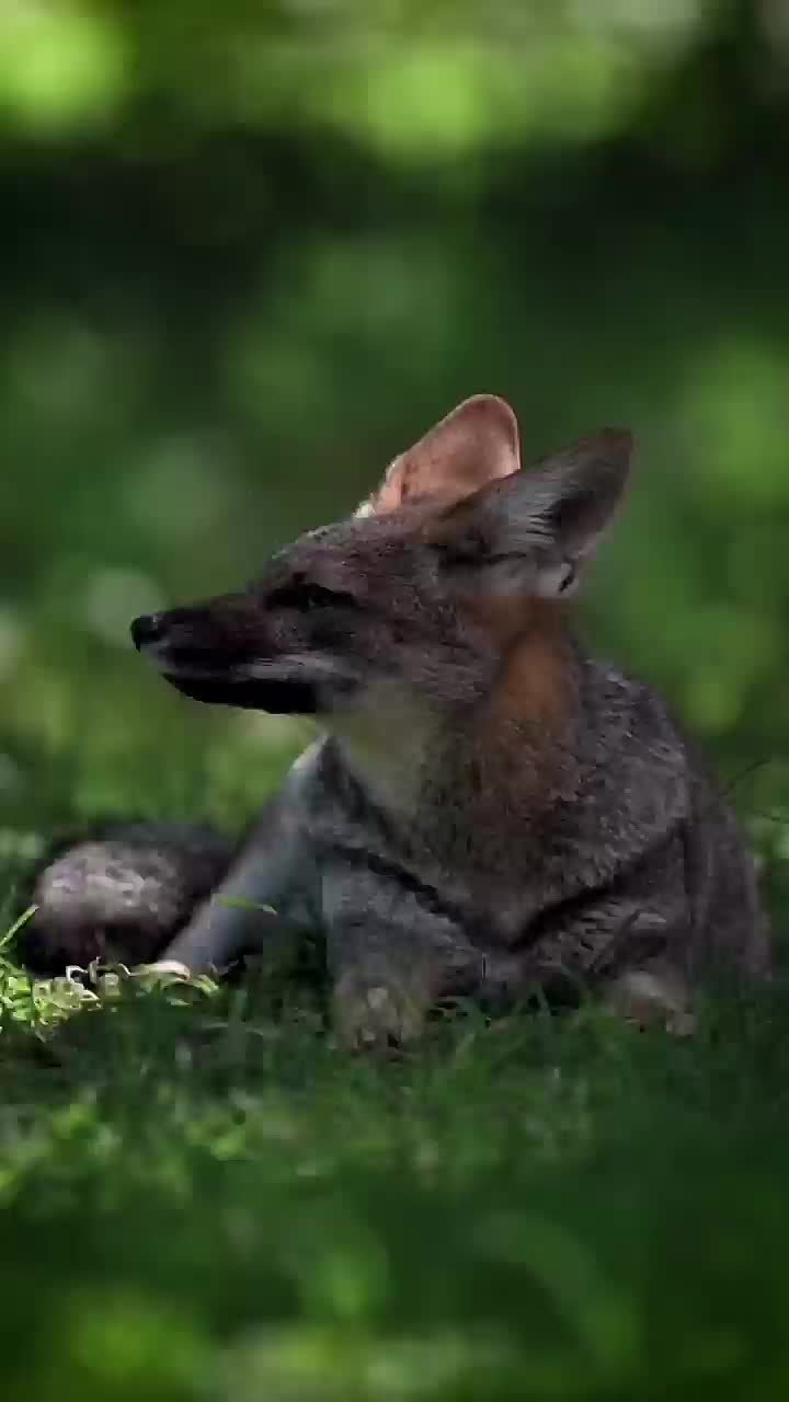 Спокойной ночи, Мариуполь!