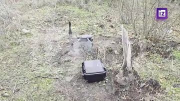 " ,   ":    6-       ""       