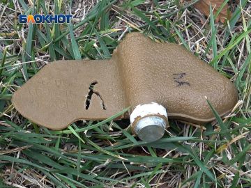 Пруд Песчаный в Кировском районе Донецка оказался заминирован «лепестками»