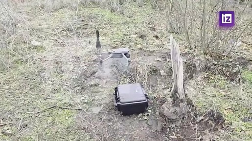 &quot; ,   &quot;:    6-       &quot;&quot;       