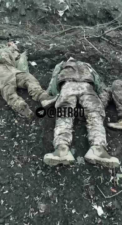 Любимая рубрика: "Попрыгал - отдохни!"