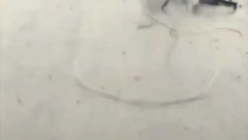 Записки ветерана: Покровск это Россия. И точка