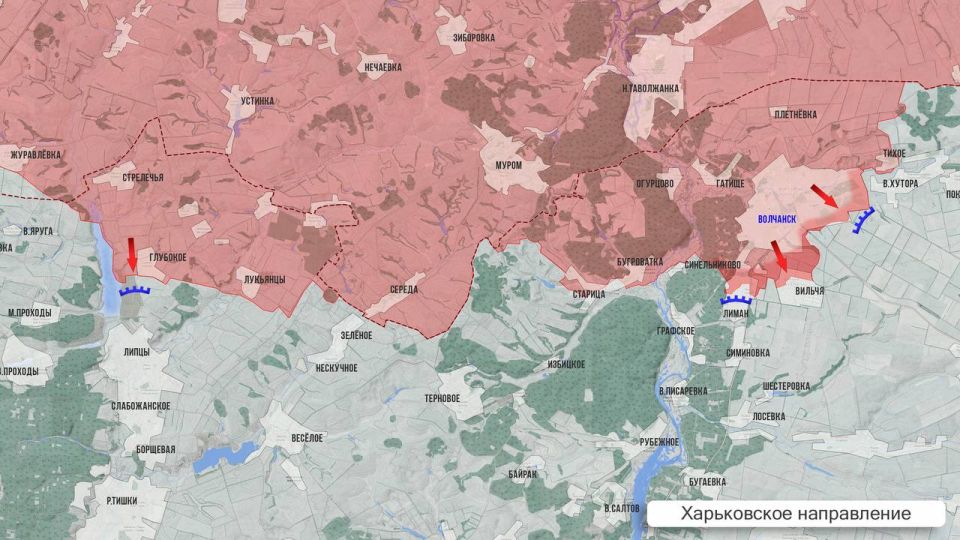 ���� ����: ��������� ������ 7 �������