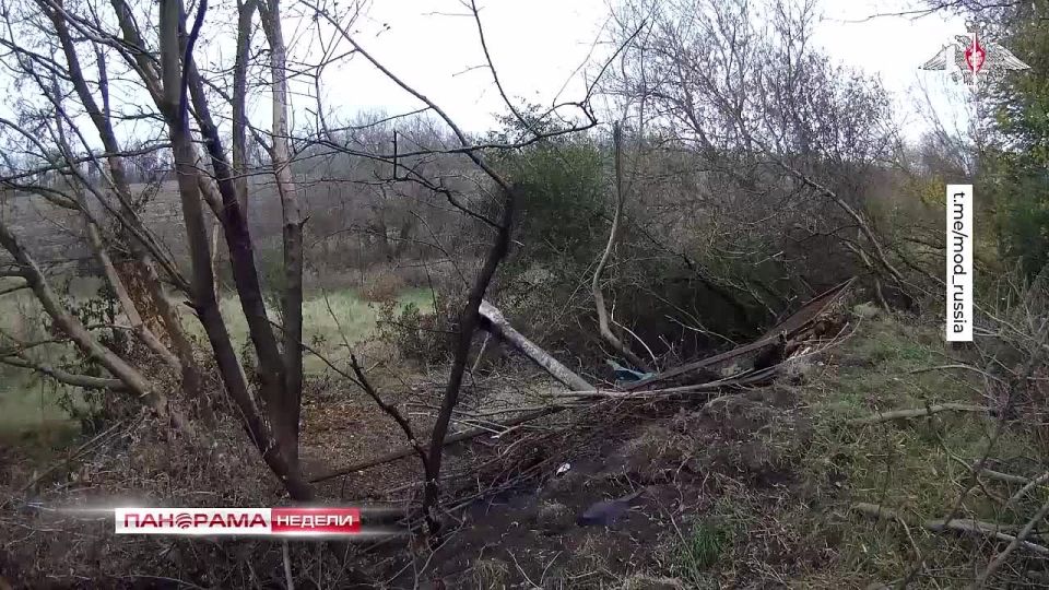 Красноармейск освобожден Какой город будет следующим? 07.12.2025, «Панорама Недели»