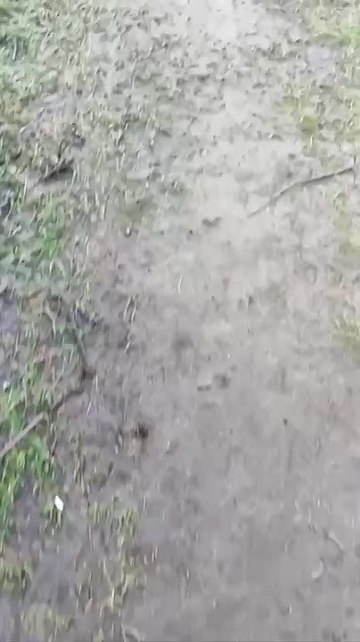 Бочку утащили на Гвардейке в Макеевке