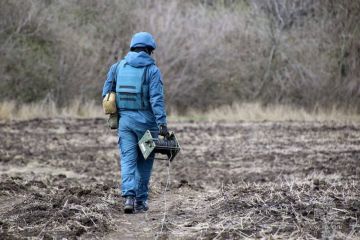 За минувшие сутки в ДНР ликвидировано 17 пожаров — ГУ МЧС России по Республике