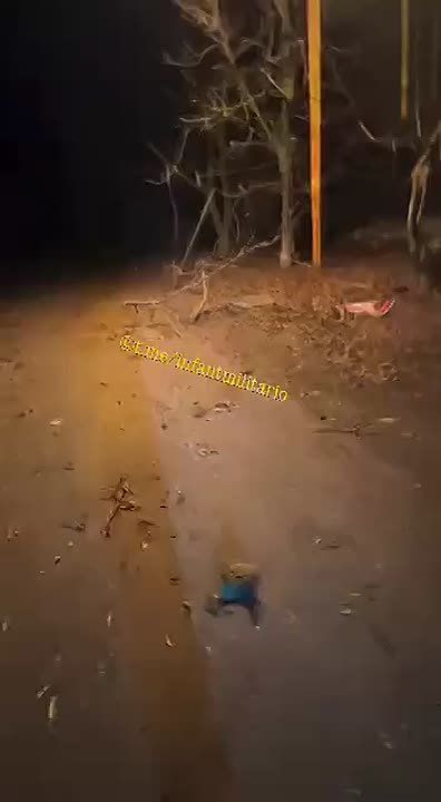 Ситуация на Покровском направлении очень сложная — российские войска постоянно пробуют продвигаться, но несут потери — заместитель командира 4-го батальона "Сила Свободы" 4-й бригады "Рубеж" НГУ Назаренко