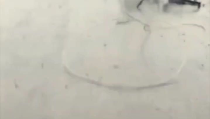 Записки ветерана: Покровск это Россия. И точка