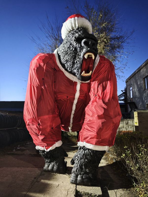 Гориллу на въезде в Волгодонск нарядили в костюм Деда Мороза Гориллу на въезде в Волгодонск нарядили в костюм Деда Мороза