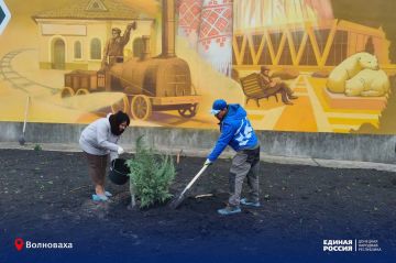 Созидаем, благоустраиваем, заботимся: единороссы поучаствовали в зелёной акции в Волновахе