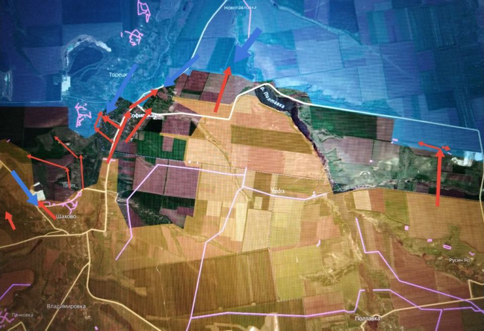 ���� �������: ����������� �����������. ������������� ��� "�����" ���������� ������������ � ����������� ��������� � ����������