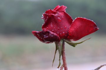 Желаем всем продуктивной рабочей недели и хорошего дня!