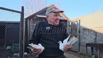 ����� ��� ��������, � ������� ��������� � ���������� ������� �� ������ ������ � ������ ���� ��� ����������