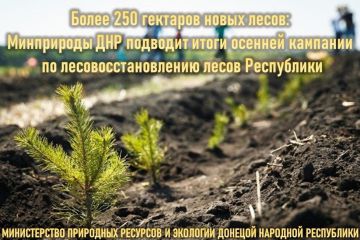 ����� 250 �������� ����� �����: ���������� ��� �������� ����� ������� �������� �� ������������������