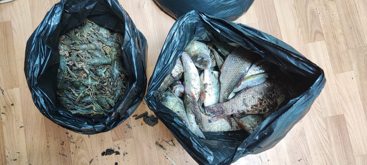 Полицейские пресекли факт незаконного вылова рыбы Полицейские пресекли факт незаконного вылова рыбы