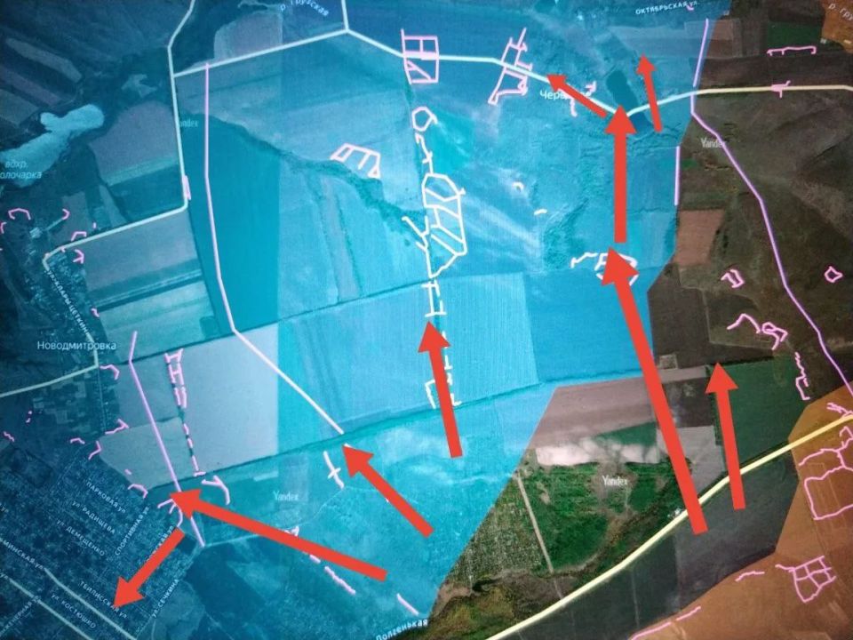 ���� �������: ���������������� �����������