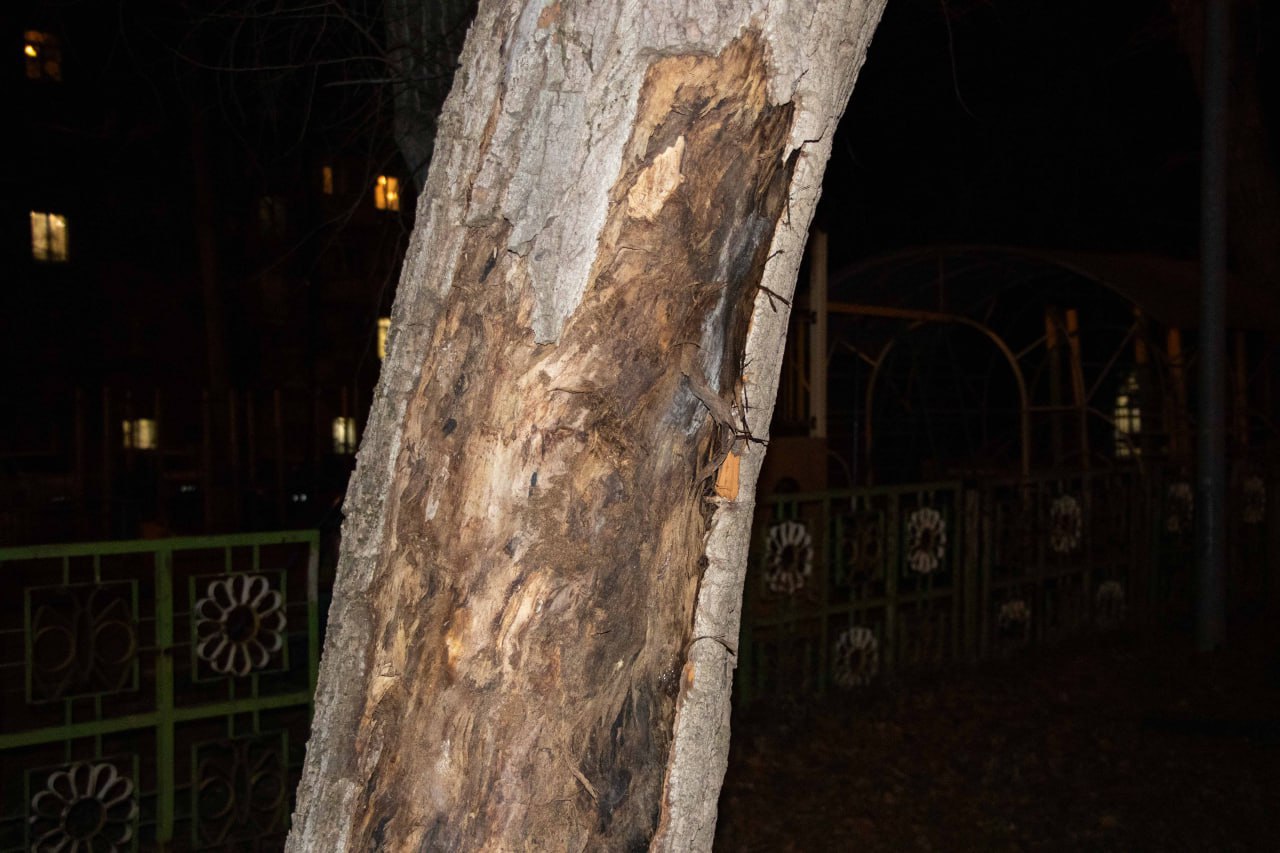 Вода, канализация, безопасность: обращение жильцов бульвара Пушкина к депутатам Народного Совета Вода, канализация, безопасность: обращение жильцов бульвара Пушкина к депутатам Народного Совета