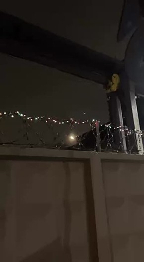 Новогодние гирлянды и елочка, предположительно, в донецком СИЗО