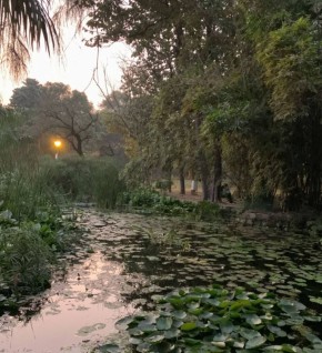 Тот, кто познал страдание, больше ценит радость и саму жизнь