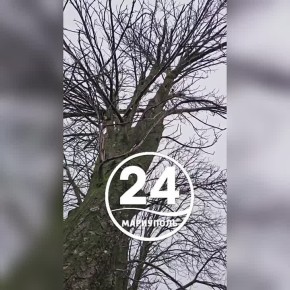 В Мариуполе этой зимой выпал первый снег!