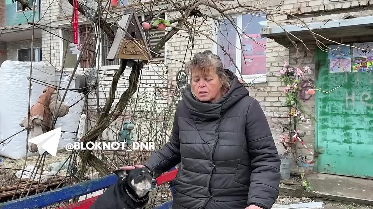 Пушистое ПВО: собака Нора из Авдеевки спасает людей перед вражескими обстрелами