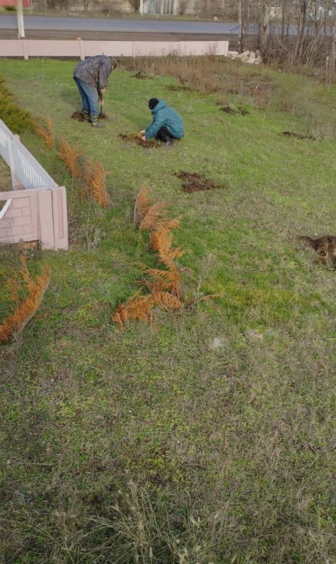 По партийному проекту Единой России активисты ТОС «Осыково» совместно с «Движением первых» Осыковской школы произвели высадку саженцев деревьев в близи памятников погибшим в Великой Отечественной войне По партийному проекту Единой России активисты ТОС «Осыково» совместно с «Движением первых» Осыковской школы произвели высадку саженцев деревьев в близи памятников погибшим в Великой Отечественной войне