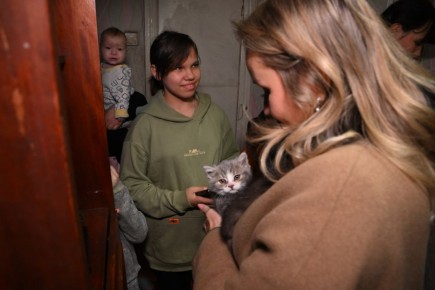 Мария Львова-Белова: Взяла на личный контроль ситуации 11 семей из ДНР