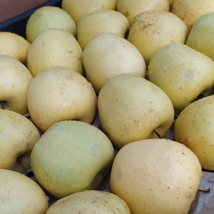 В Кировском прошла ярмарка В Кировском прошла ярмарка