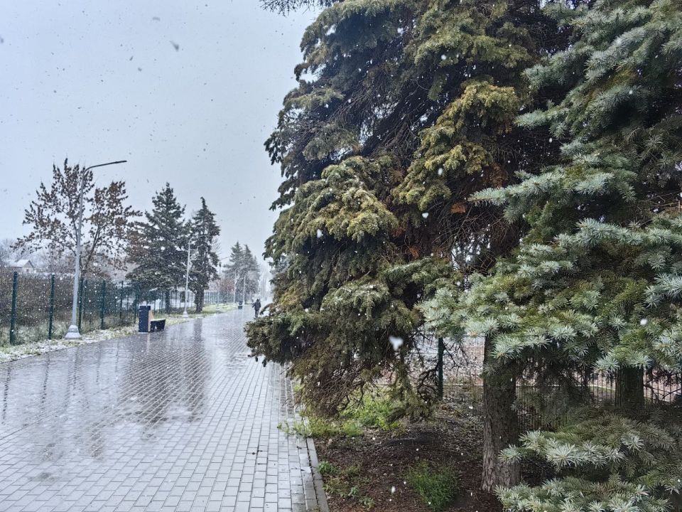 С первым снегом, тельмановцы! С первым снегом, тельмановцы!