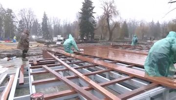 Маршрут на год вперёд: какие решения озвучил Денис Пушилин на Прямой Линии?