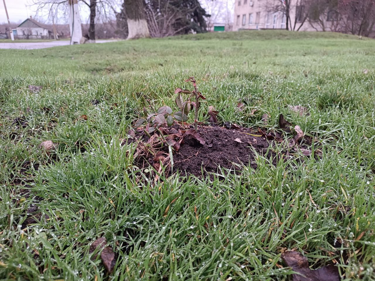 Сергей Юзвинкевич: В ходе прямой линии Главы Донецкой Народной Республики Дениса Владимировича Пушилина поступил вопрос относительно состояния памятника, расположенного в с. Республика Сергей Юзвинкевич: В ходе прямой линии Главы Донецкой Народной Республики Дениса Владимировича Пушилина поступил вопрос относительно состояния памятника, расположенного в с. Республика