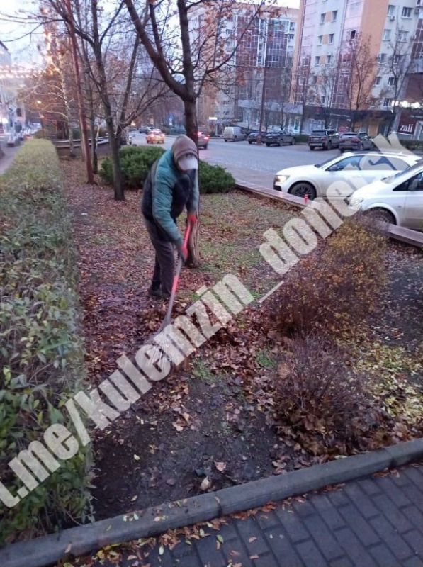 Сегодня сотрудники коммунального предприятия «Зелёное строительство» убрали и вывезли опавшую листву, ветки, также выполнили валку и распил деревьев Сегодня сотрудники коммунального предприятия «Зелёное строительство» убрали и вывезли опавшую листву, ветки, также выполнили валку и распил деревьев