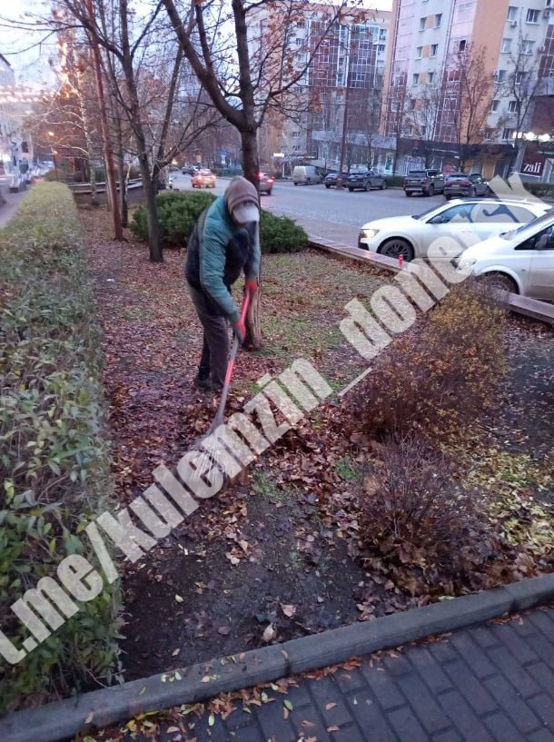 Сегодня сотрудники коммунального предприятия «Зелёное строительство» убрали и вывезли опавшую листву, ветки, также выполнили валку и распил деревьев Сегодня сотрудники коммунального предприятия «Зелёное строительство» убрали и вывезли опавшую листву, ветки, также выполнили валку и распил деревьев