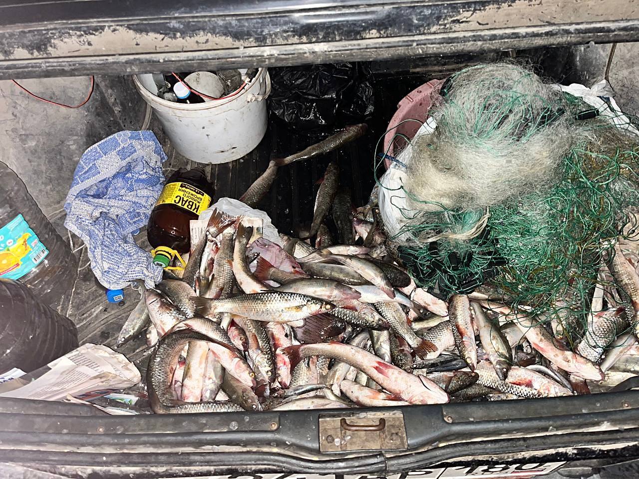 За вылов рыбы в нацпарке «Меотида» житель Новоазовска может сесть на 5 лет За вылов рыбы в нацпарке «Меотида» житель Новоазовска может сесть на 5 лет