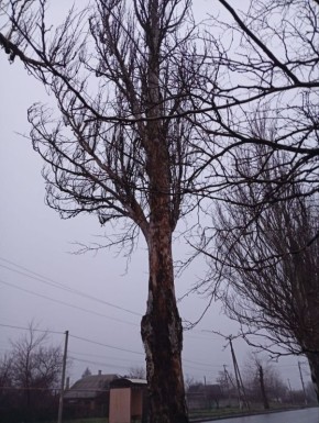 Наталья Бегуненко: В Петровском районе коммунальные предприятия приняли активное участие в акции Чистый четверг