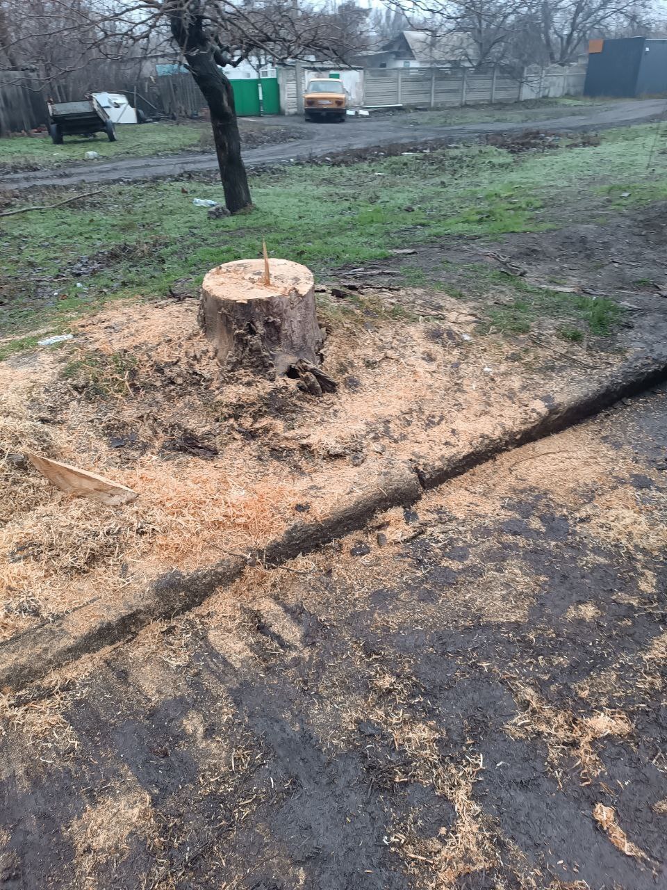Наталья Бегуненко: В Петровском районе коммунальные предприятия приняли активное участие в акции Чистый четверг Наталья Бегуненко: В Петровском районе коммунальные предприятия приняли активное участие в акции Чистый четверг