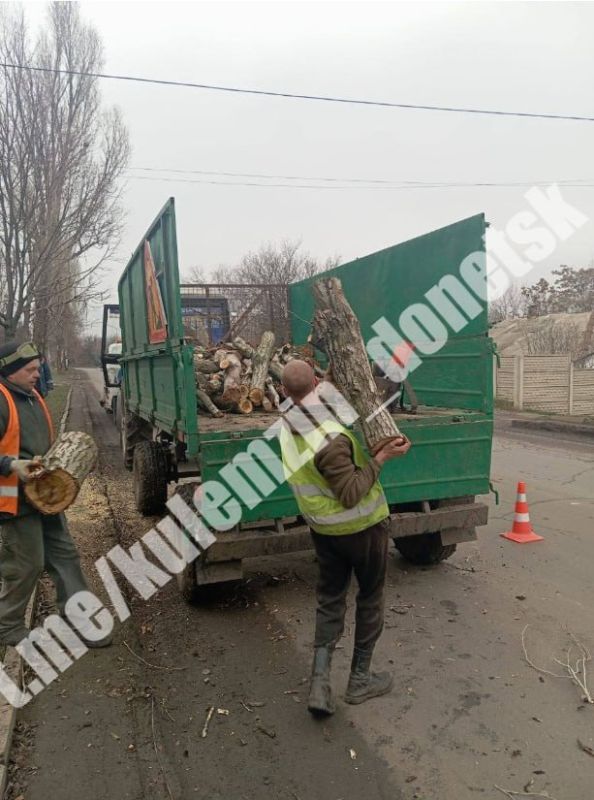 Сегодня сотрудники коммунального предприятия «Зелёное строительство» убрали и вывезли опавшую листву, ветки, также выполнили валку и распил деревьев Сегодня сотрудники коммунального предприятия «Зелёное строительство» убрали и вывезли опавшую листву, ветки, также выполнили валку и распил деревьев