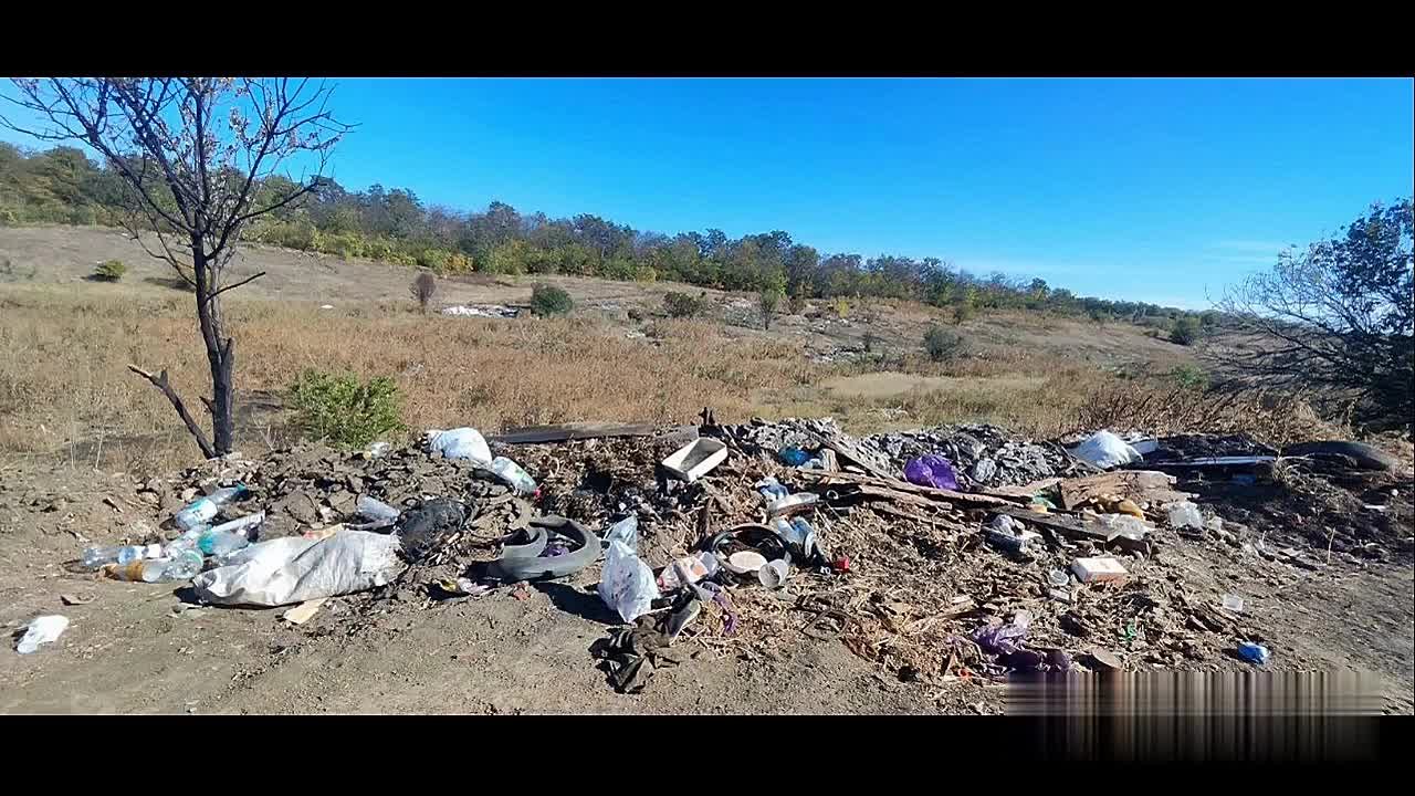 В видеоподборке сотрудники отдела государственного земельного надзора и контроля в области обращения пестицидов и агрохимикатов по ЛНР вспомнили свою работу в 2025 году