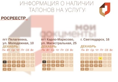 Актуальная информация о наличии талонов в разных отделениях МФЦ