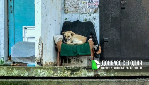 Прогноз погоды в Донецке на сегодня, 12 декабря 2025 года