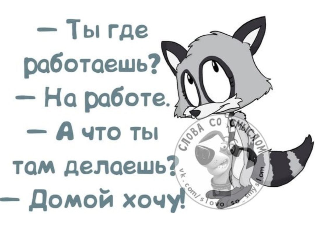 Минутка юмора. Мы в Telegram