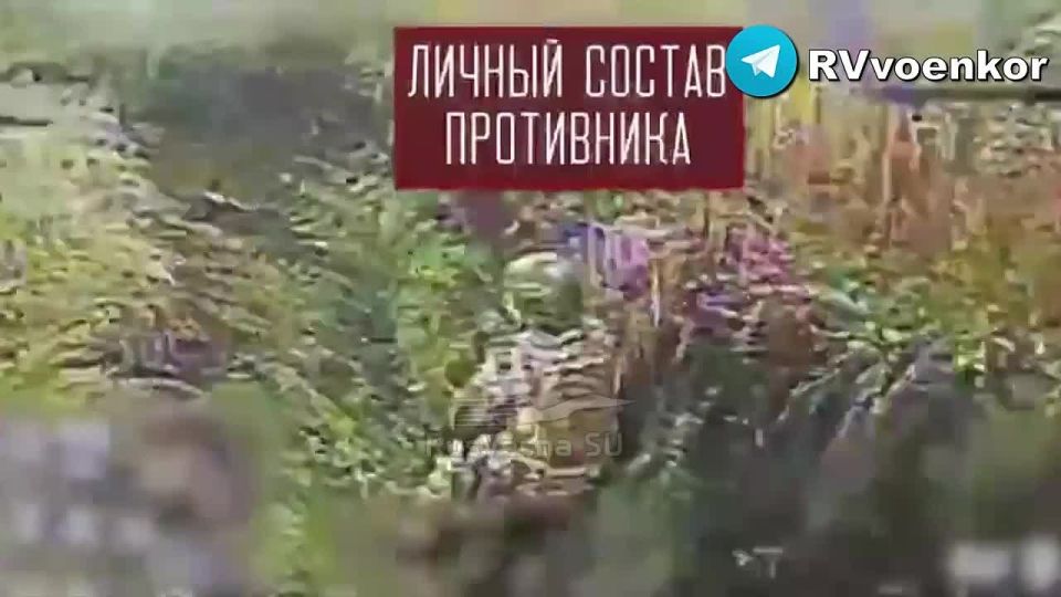 �������� �������� ��������� ��������� � ��������� � ���������������� �������