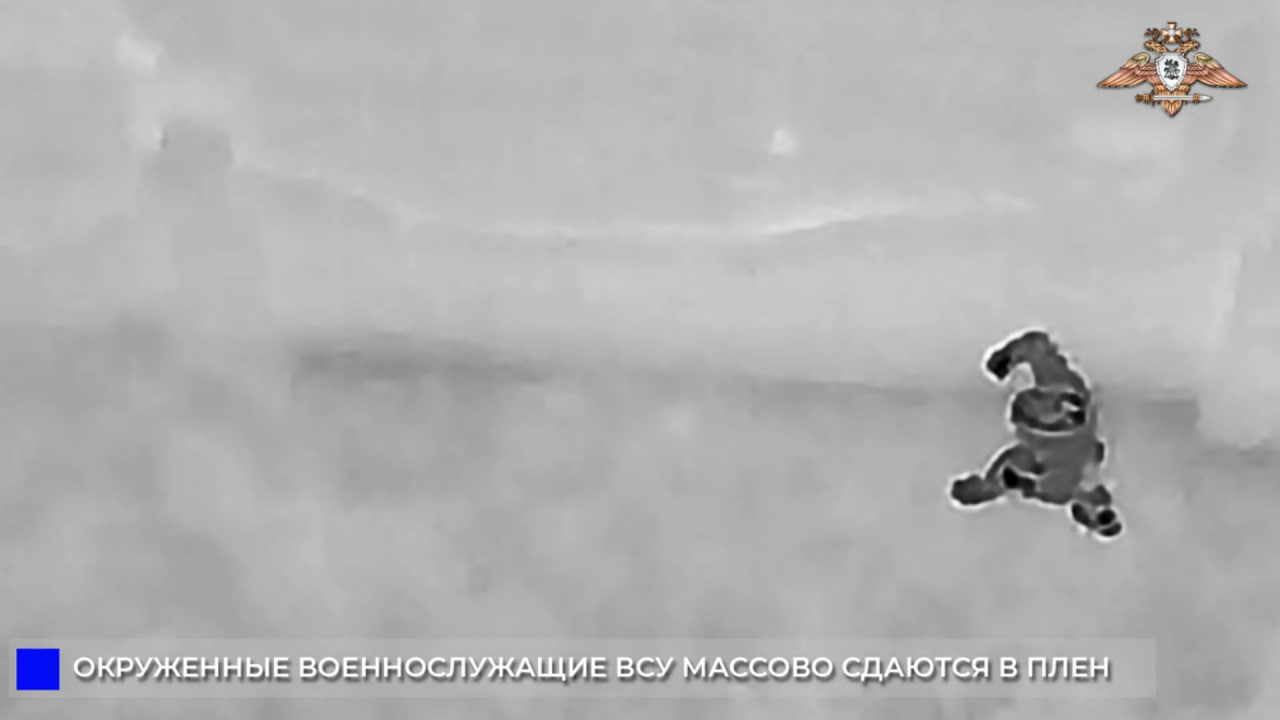 ВСУшники массово сдаются в плен в Мирнограде ВСУшники массово сдаются в плен в Мирнограде